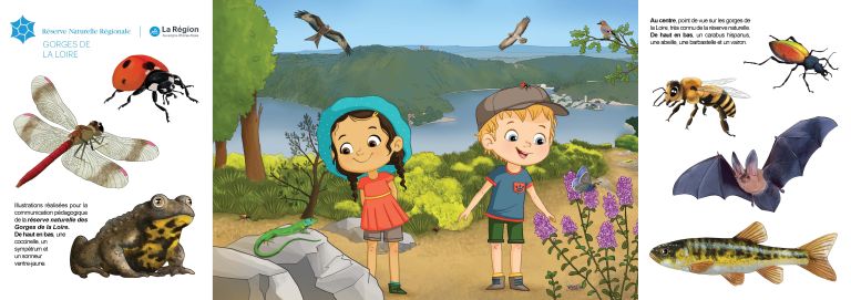  - amandine gardie - illustrateurs-jeunesse