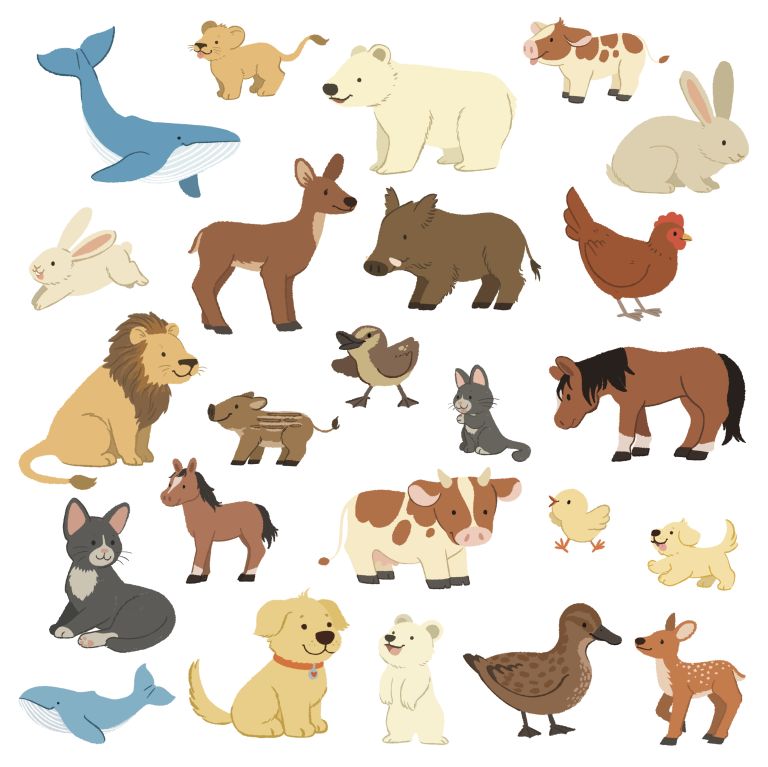  - anais chevret - ananash - illustrateurs-jeunesse