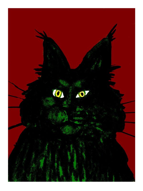  - David Stora - illustrateurs-jeunesse