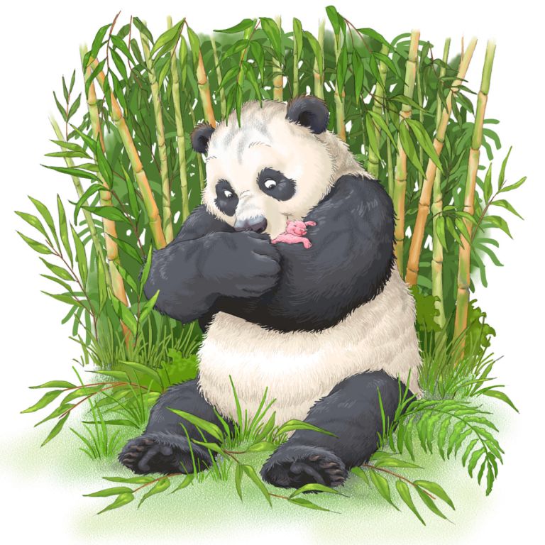  - nathalie gavet - illustrateurs-jeunesse