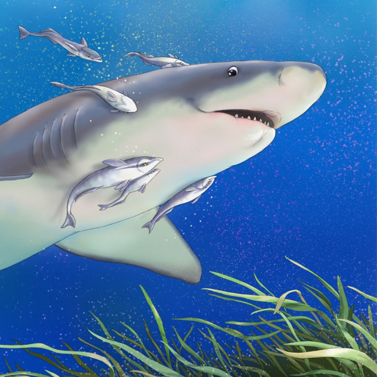  - nathalie gavet - illustrateurs-jeunesse