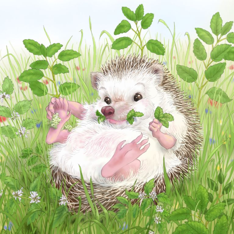  - nathalie gavet - illustrateurs-jeunesse