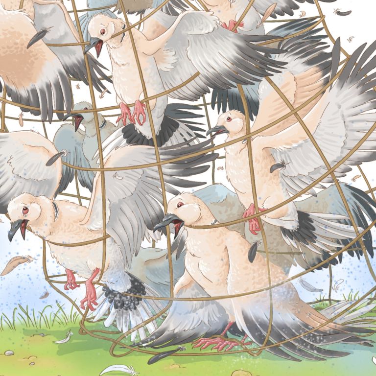  - nathalie gavet - illustrateurs-jeunesse