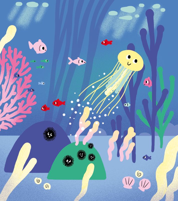  - aurélie abolivier - illustrateurs-jeunesse