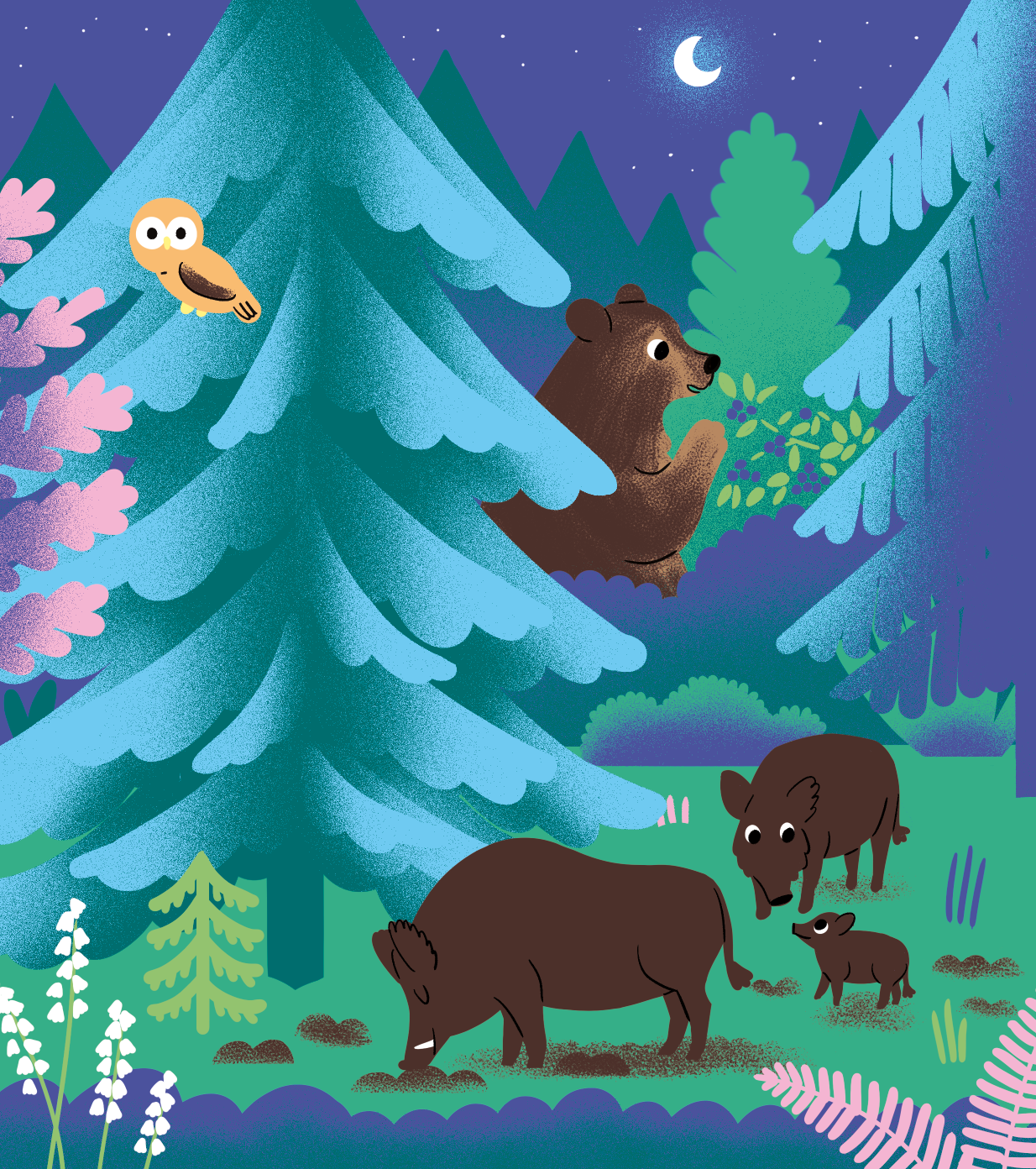  - aurélie abolivier - illustrateurs-jeunesse