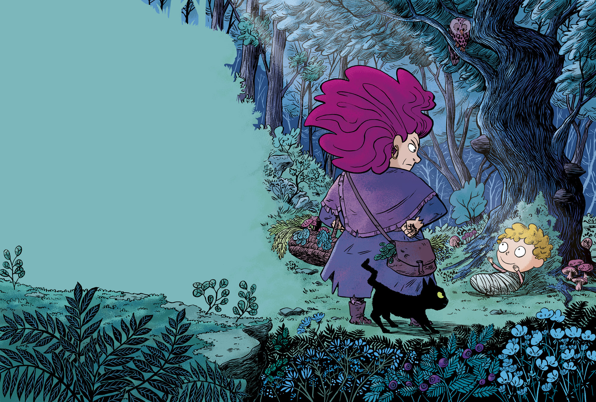 La Sorcière au coeur de pierre - benjamin strickler - illustrateurs-jeunesse