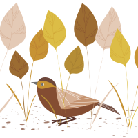 melissa pigois - illustrateurs-jeunesse