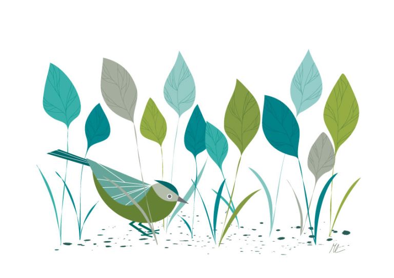  - melissa pigois - illustrateurs-jeunesse